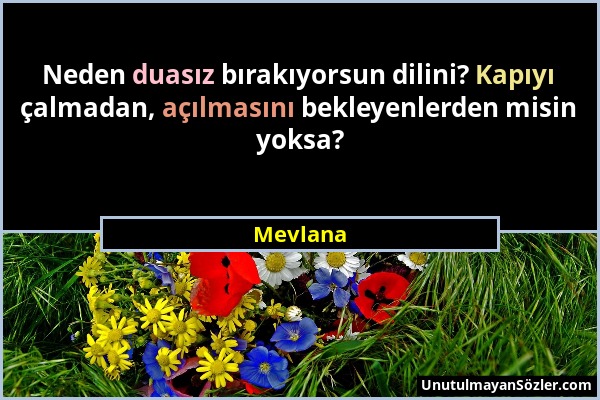 Mevlana - Neden duasız bırakıyorsun dilini? Kapıyı çalmadan, açılmasını bekleyenlerden misin yoksa?...