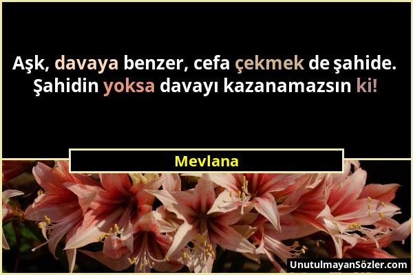 Mevlana - Aşk, davaya benzer, cefa çekmek de şahide. Şahidin yoksa davayı kazanamazsın ki!...