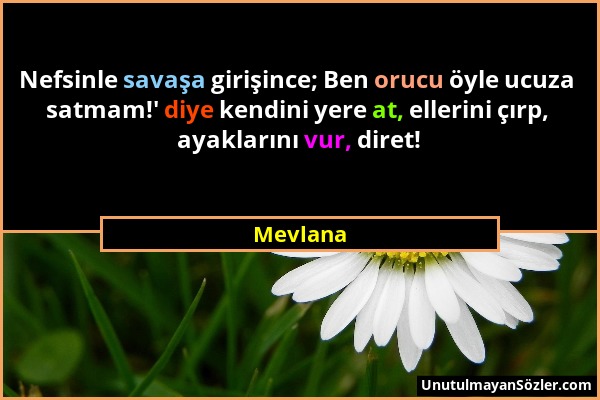 Mevlana - Nefsinle savaşa girişince; Ben orucu öyle ucuza satmam!' diye kendini yere at, ellerini çırp, ayaklarını vur, diret!...