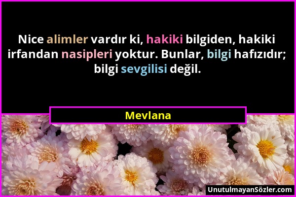 Mevlana - Nice alimler vardır ki, hakiki bilgiden, hakiki irfandan nasipleri yoktur. Bunlar, bilgi hafızıdır; bilgi sevgilisi değil....