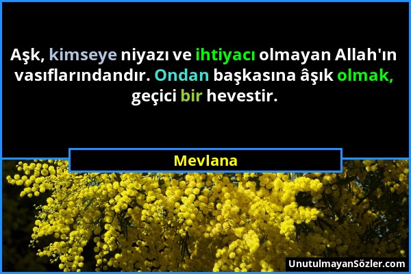 Mevlana - Aşk, kimseye niyazı ve ihtiyacı olmayan Allah'ın vasıflarındandır. Ondan başkasına âşık olmak, geçici bir hevestir....