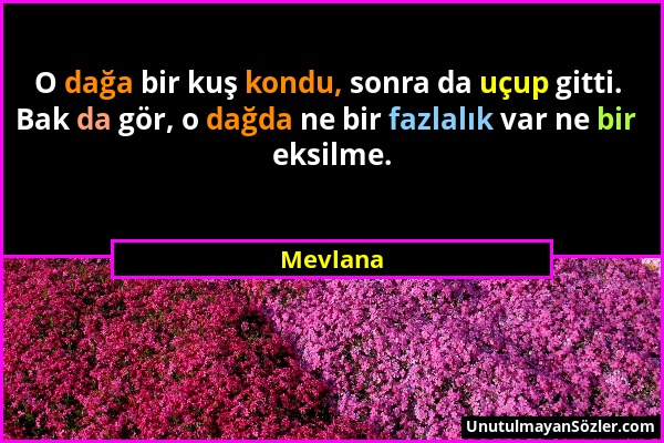 Mevlana - O dağa bir kuş kondu, sonra da uçup gitti. Bak da gör, o dağda ne bir fazlalık var ne bir eksilme....