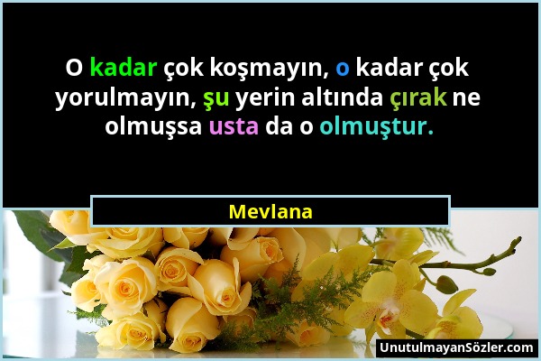 Mevlana - O kadar çok koşmayın, o kadar çok yorulmayın, şu yerin altında çırak ne olmuşsa usta da o olmuştur....