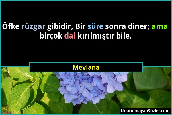 Mevlana - Öfke rüzgar gibidir, Bir süre sonra diner; ama birçok dal kırılmıştır bile....