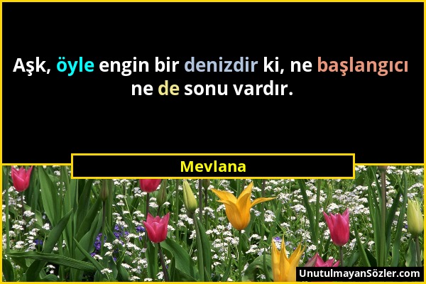 Mevlana - Aşk, öyle engin bir denizdir ki, ne başlangıcı ne de sonu vardır....