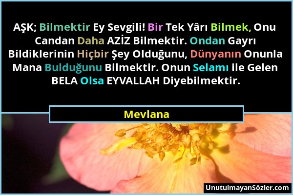 Mevlana - AŞK; Bilmektir Ey Sevgili! Bir Tek Yârı Bilmek, Onu Candan Daha AZİZ Bilmektir. Ondan Gayrı Bildiklerinin Hiçbir Şey Olduğunu, Dünyanın Onun...