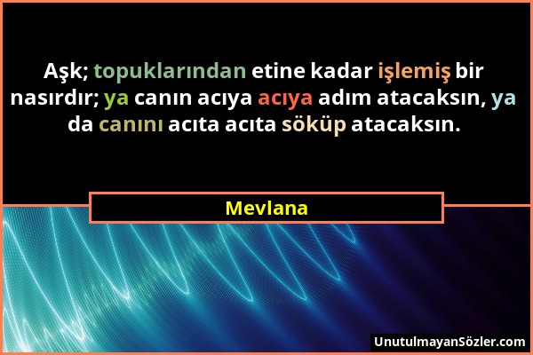 Mevlana - Aşk; topuklarından etine kadar işlemiş bir nasırdır; ya canın acıya acıya adım atacaksın, ya da canını acıta acıta söküp atacaksın....