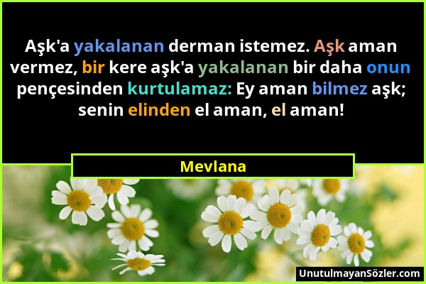 Mevlana - Aşk'a yakalanan derman istemez. Aşk aman vermez, bir kere aşk'a yakalanan bir daha onun pençesinden kurtulamaz: Ey aman bilmez aşk; senin el...