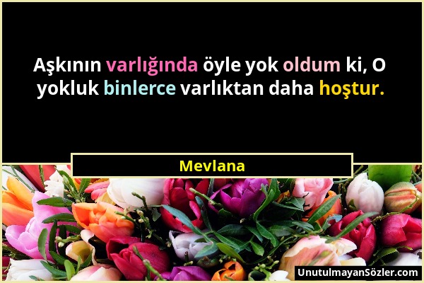 Mevlana - Aşkının varlığında öyle yok oldum ki, O yokluk binlerce varlıktan daha hoştur....