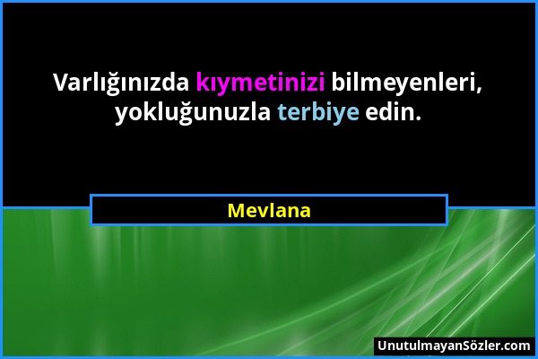 Mevlana - Varlığınızda kıymetinizi bilmeyenleri, yokluğunuzla terbiye edin....