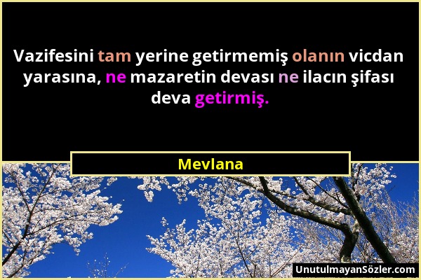 Mevlana - Vazifesini tam yerine getirmemiş olanın vicdan yarasına, ne mazaretin devası ne ilacın şifası deva getirmiş....