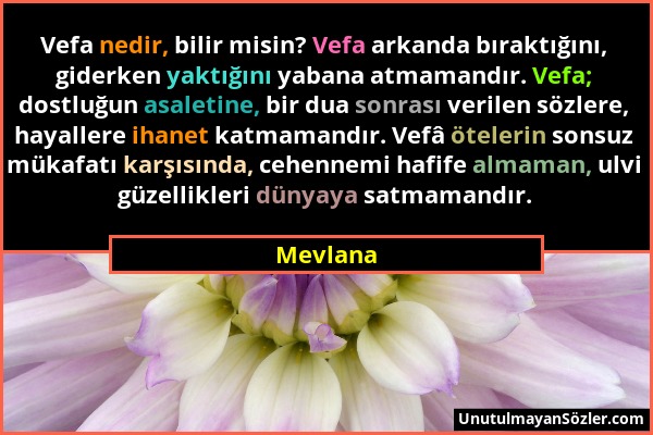 Mevlana - Vefa nedir, bilir misin? Vefa arkanda bıraktığını, giderken yaktığını yabana atmamandır. Vefa; dostluğun asaletine, bir dua sonrası verilen...