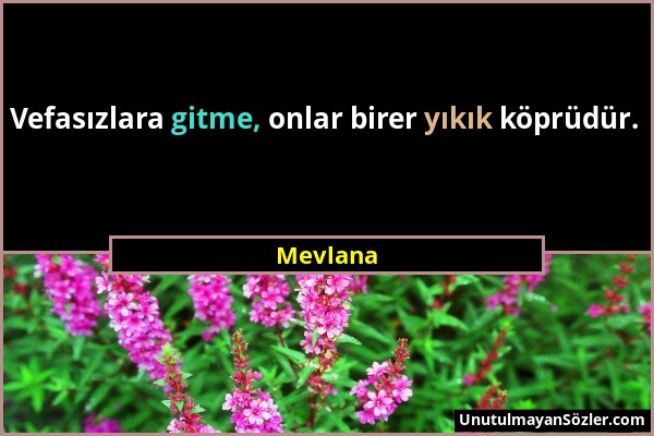 Mevlana - Vefasızlara gitme, onlar birer yıkık köprüdür....