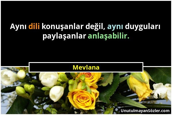 Mevlana - Aynı dili konuşanlar değil, aynı duyguları paylaşanlar anlaşabilir....