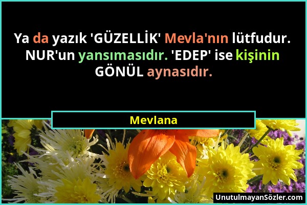 Mevlana - Ya da yazık 'GÜZELLİK' Mevla'nın lütfudur. NUR'un yansımasıdır. 'EDEP' ise kişinin GÖNÜL aynasıdır....