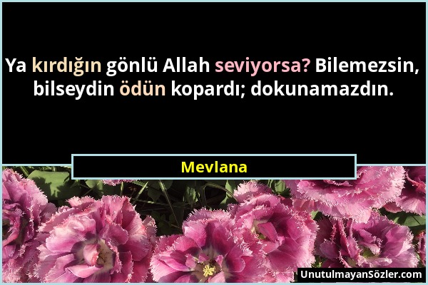 Mevlana - Ya kırdığın gönlü Allah seviyorsa? Bilemezsin, bilseydin ödün kopardı; dokunamazdın....