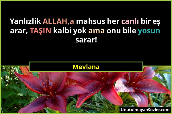 Mevlana - Yanlızlik ALLAH,a mahsus her canlı bir eş arar, TAŞIN kalbi yok ama onu bile yosun sarar!...