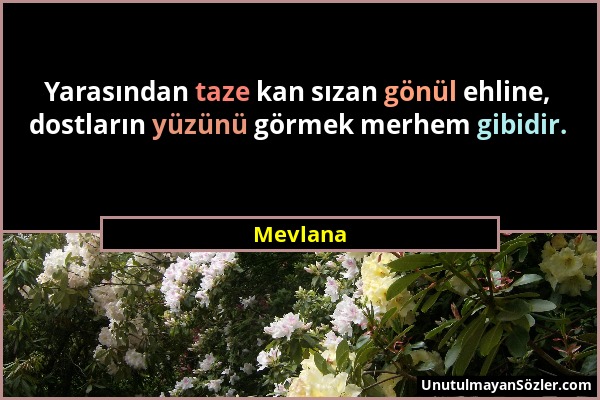 Mevlana - Yarasından taze kan sızan gönül ehline, dostların yüzünü görmek merhem gibidir....