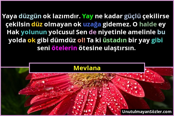 Mevlana - Yaya düzgün ok lazımdır. Yay ne kadar güçlü çekilirse çekilsin düz olmayan ok uzağa gidemez. O halde ey Hak yolunun yolcusu! Sen de niyetinl...