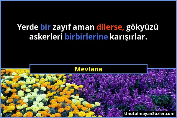 Mevlana - Yerde bir zayıf aman dilerse, gökyüzü askerleri birbirlerine karışırlar....