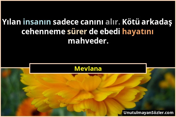 Mevlana - Yılan insanın sadece canını alır. Kötü arkadaş cehenneme sürer de ebedi hayatını mahveder....