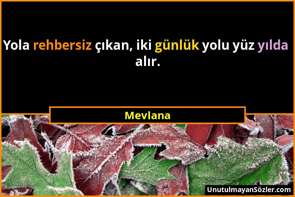 Mevlana - Yola rehbersiz çıkan, iki günlük yolu yüz yılda alır....