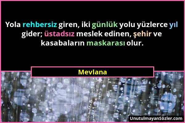 Mevlana - Yola rehbersiz giren, iki günlük yolu yüzlerce yıl gider; üstadsız meslek edinen, şehir ve kasabaların maskarası olur....