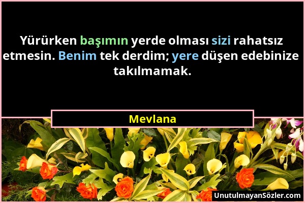 Mevlana - Yürürken başımın yerde olması sizi rahatsız etmesin. Benim tek derdim; yere düşen edebinize takılmamak....