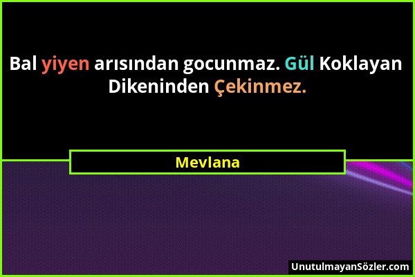 Mevlana - Bal yiyen arısından gocunmaz. Gül Koklayan Dikeninden Çekinmez....