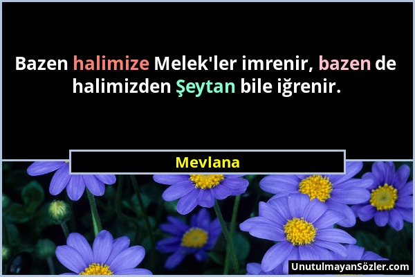 Mevlana - Bazen halimize Melek'ler imrenir, bazen de halimizden Şeytan bile iğrenir....