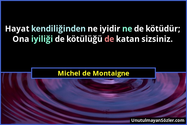 Michel de Montaigne - Hayat kendiliğinden ne iyidir ne de kötüdür; Ona iyiliği de kötülüğü de katan sizsiniz....