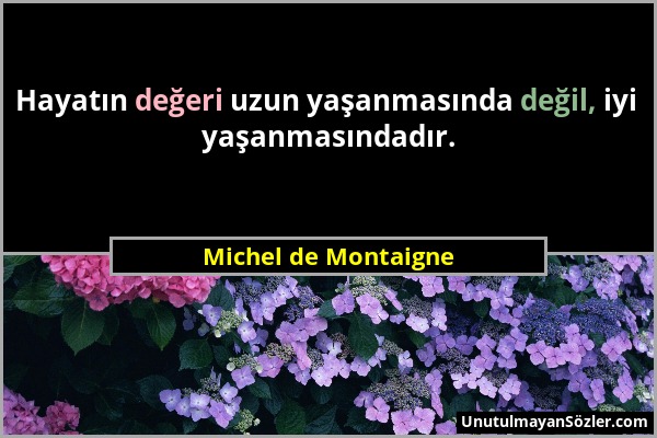 Michel de Montaigne - Hayatın değeri uzun yaşanmasında değil, iyi yaşanmasındadır....