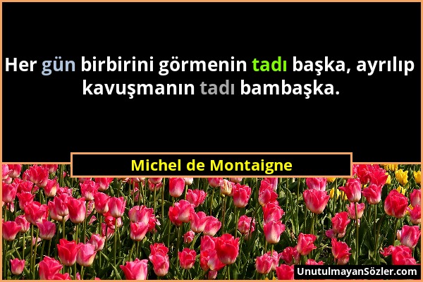 Michel de Montaigne - Her gün birbirini görmenin tadı başka, ayrılıp kavuşmanın tadı bambaşka....