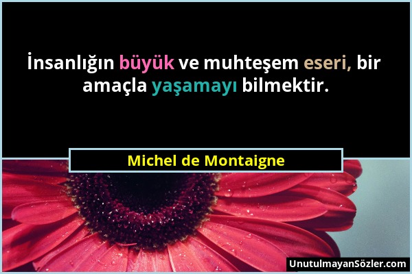 Michel de Montaigne - İnsanlığın büyük ve muhteşem eseri, bir amaçla yaşamayı bilmektir....