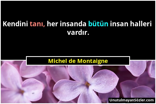 Michel de Montaigne - Kendini tanı, her insanda bütün insan halleri vardır....