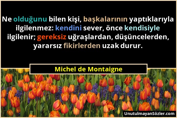 Michel de Montaigne - Ne olduğunu bilen kişi, başkalarının yaptıklarıyla ilgilenmez: kendini sever, önce kendisiyle ilgilenir; gereksiz uğraşlardan, d...