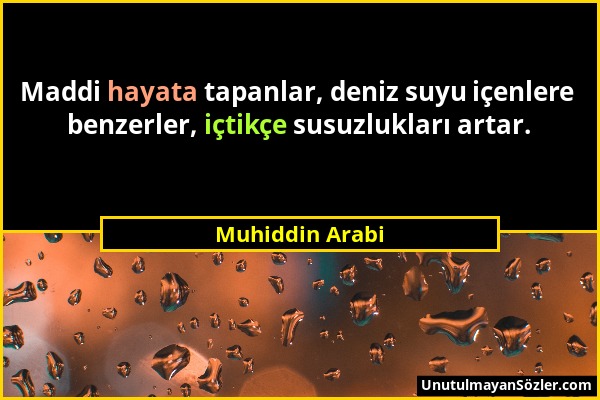 Muhiddin Arabi - Maddi hayata tapanlar, deniz suyu içenlere benzerler, içtikçe susuzlukları artar....