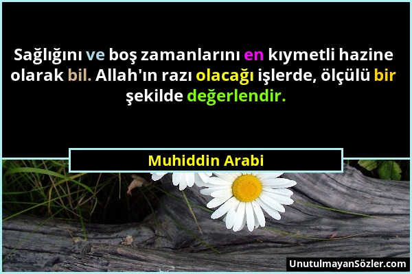 Muhiddin Arabi - Sağlığını ve boş zamanlarını en kıymetli hazine olarak bil. Allah'ın razı olacağı işlerde, ölçülü bir şekilde değerlendir....