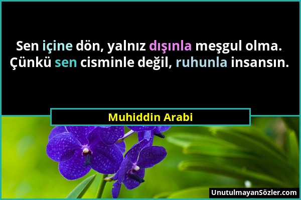 Muhiddin Arabi - Sen içine dön, yalnız dışınla meşgul olma. Çünkü sen cisminle değil, ruhunla insansın....