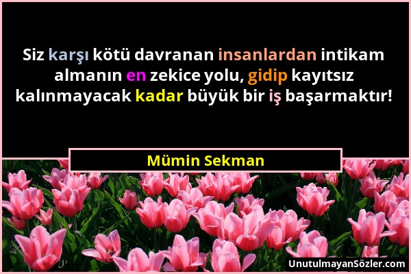 Mümin Sekman - Siz karşı kötü davranan insanlardan intikam almanın en zekice yolu, gidip kayıtsız kalınmayacak kadar büyük bir iş başarmaktır!...