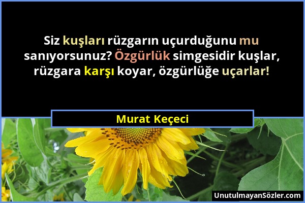 Murat Keçeci - Siz kuşları rüzgarın uçurduğunu mu sanıyorsunuz? Özgürlük simgesidir kuşlar, rüzgara karşı koyar, özgürlüğe uçarlar!...