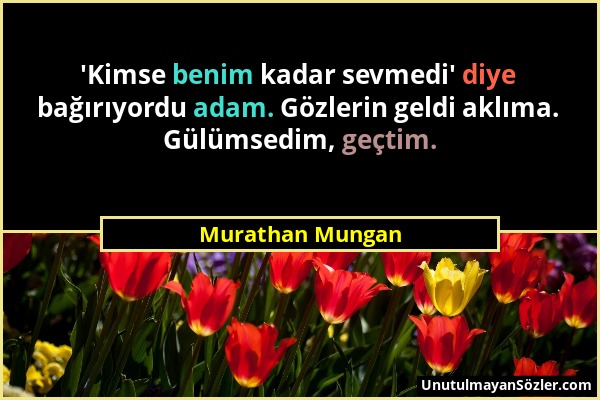 Murathan Mungan - 'Kimse benim kadar sevmedi' diye bağırıyordu adam. Gözlerin geldi aklıma. Gülümsedim, geçtim....