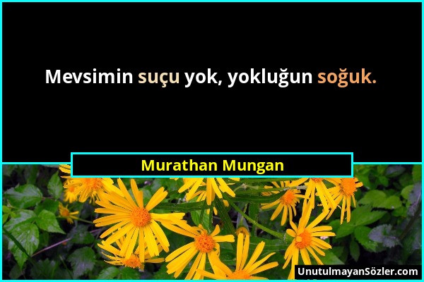 Murathan Mungan - Mevsimin suçu yok, yokluğun soğuk....