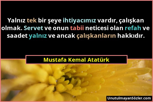 Mustafa Kemal Atatürk - Yalnız tek bir şeye ihtiyacımız vardır, çalışkan olmak. Servet ve onun tabii neticesi olan refah ve saadet yalnız ve ancak çal...