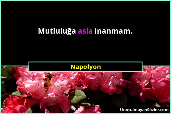 Napolyon - Mutluluğa asla inanmam....