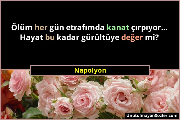 Napolyon - Ölüm her gün etrafımda kanat çırpıyor... Hayat bu kadar gürültüye değer mi?...