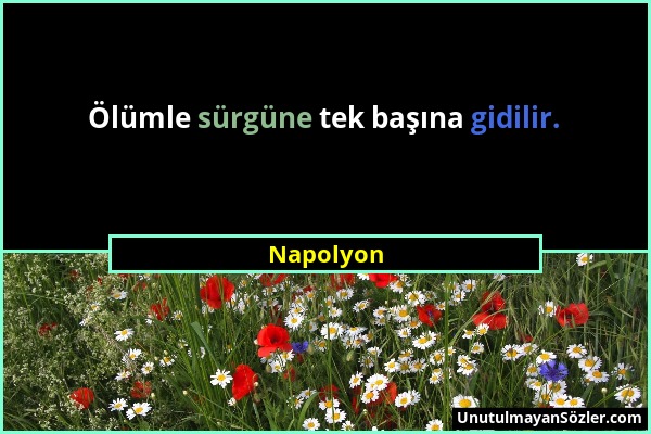 Napolyon - Ölümle sürgüne tek başına gidilir....