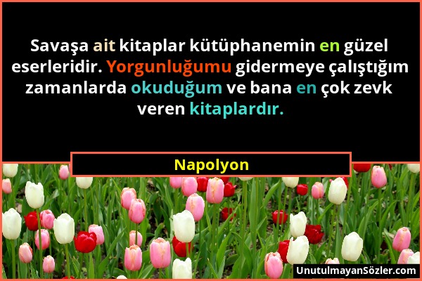 Napolyon - Savaşa ait kitaplar kütüphanemin en güzel eserleridir. Yorgunluğumu gidermeye çalıştığım zamanlarda okuduğum ve bana en çok zevk veren kita...