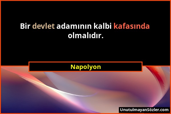 Napolyon - Bir devlet adamının kalbi kafasında olmalıdır....