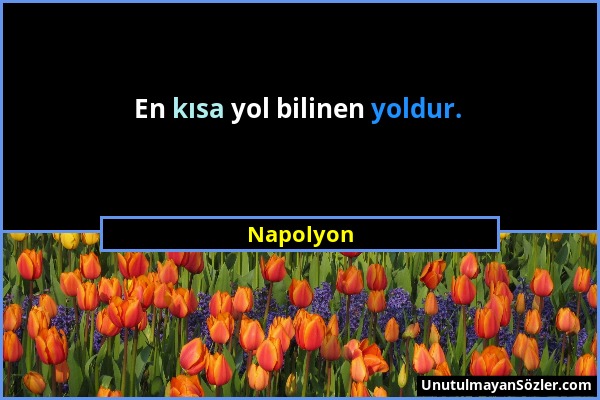 Napolyon - En kısa yol bilinen yoldur....